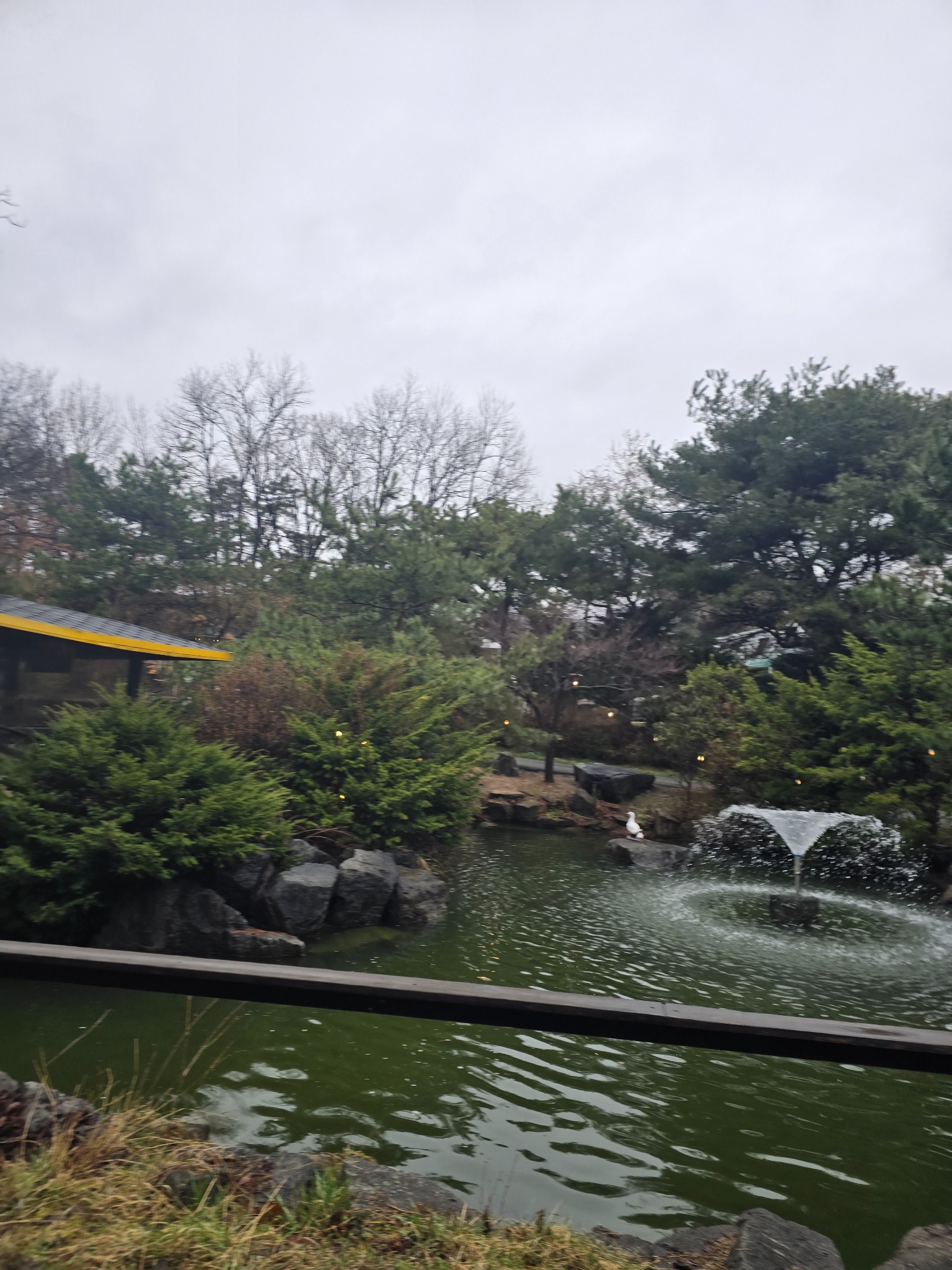 강경숯불바베큐 정원