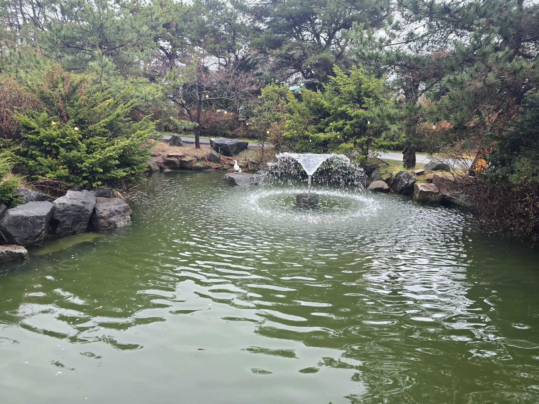 강경숯불바베큐 연못과 분수 정원